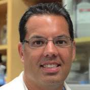 How can new biomedical imaging techniques help us understand strokes?