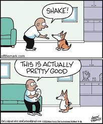 Image result for sarcastic comics