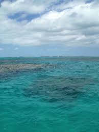 The boundaries of this ocean were proposed to the international hydrographic organization in 2000. Ocean By Man Of War Cay Man Of War Bahamas Tahiti