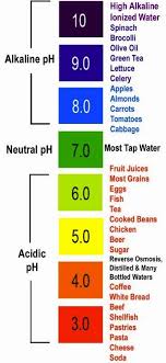 Antioxidant Kangen Alkaline Water Water Purifier Ionizer