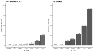 Image result for Englerina muerensis