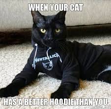 Harassing content is usually removed within less than 48 hours. Happy Black Kittens Matter Caturday Memes Steemit