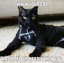 Harassing content is usually removed within less than 48 hours. Happy Black Kittens Matter Caturday Memes Steemit