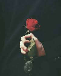 Boleh order untuk suprise ye, okey utk mug magic ni bila kita tuang je air panas gambar dekat mug tu akan keluar. 50 Gambar Mawar Merah Berduri Terbaru Lingkar Png