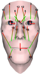 Naming skeletal muscles according to a number of criteria: Facial Animation System Muscle Placement Muscle Names Are Given In Download Scientific Diagram