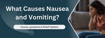 Image result for Nausea Causes