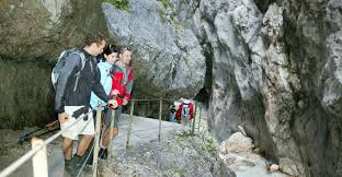Zu meiner wanderung durch die höllentalklamm im unteren teil der höllentalklamm geht man über diese stege über dem wilden hammersbach. Hollentalklamm Bergfex Wanderung Tour Bayern