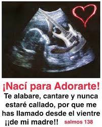 Musico De Dios Salmo 138 Frases Religiosas Palabra De Vida