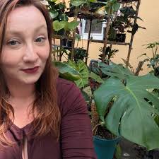 What type of plant is this?