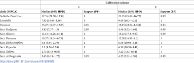 Image result for Panicum heterostachyum