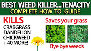 So how do you do it? 10 Best Crabgrass Killers Preventers That Work 2021 Reviews Cg Lawn