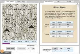 If one of those differences allows the individual to live longer, they will likely have more offspring. Gizmo Of The Week Natural Selection Explorelearning News