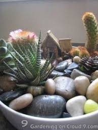 Water sparingly, and allow the soil to dry between watering. Tabletop Garden Gallery Gardening On Cloud 9 Part 2 Cactus Garden Mini Cactus Garden Cactus House Plants