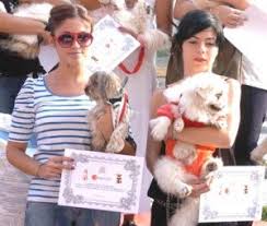 En Guzel Kedi Ve Kopek Yarismasi Pet Haber Gazetesi