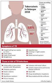 According to the latest who data published in 2018 tuberculosis deaths in malaysia reached 1,288 or 0.91% of total deaths. More Than A Bad Cough The Star
