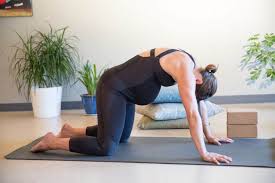 Here is a list of poses which are considered safe for pregnant women. 13 Pregnancy Yoga Exercises For The Last Trimester