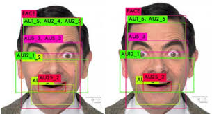 JOINT FACIAL ACTION UNIT INTENSITY PREDICTION AND REGION LOCALISATION