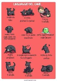 Linguaggio Dei Cani Animali Domestici Citazioni Sugli Animali Domestici Cuccioli Di Cani