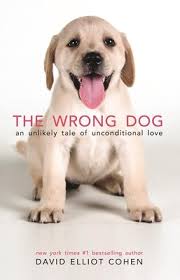 Petrescue's great animal stories as want to read this inspiring collection features more than 100 stories about every rescue animal imaginable, from cats, dogs and horses to chooks, wombats and penguins. The Wrong Dog An Unlikely Tale Of Unconditional Love Paperback The Book Stall