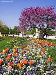 Jardin Des Tuileries Paris Jardin Francais Jardin Des Tuileries Jardins