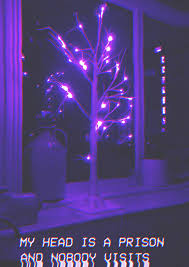 Neon wallpapers, backgrounds, images 1920x1080— best neon desktop wallpaper sort wallpapers by: Neon Purple Aesthetic Wallpapers Wallpaper Cave