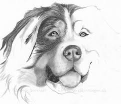 Lisa marder is an artist and educator who studied drawing and painting at harvard university. 30 Best Pencil Drawings Pictures Free Premium Templates