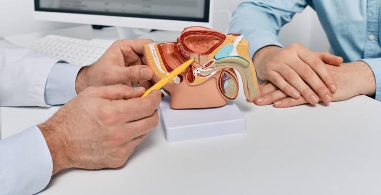 Prostate Examination Techniques for Healthcare Professionals | Faculty ...