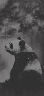 Sad Panda Black & White Wallpaper - Panda Aesthetic Wallpapers