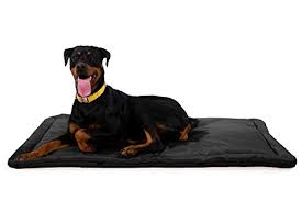 Waterproof dog bed cushion with heavy duty tough removable high grade cover xxl. The Best Chew Proof Dog Beds Of 2021 Pet Life Today