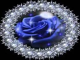 Buon Compleanno A Te Blue Roses Flower Gift Blue Rose