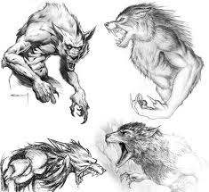 Werewolf Sketches Collage 01 Jpg Werewolf Art Werewolf Drawing Vampires And Werewolves