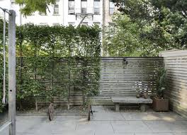 What is the best layout for a privacy screen? Privacy Landscaping How To Use Plants In A City Garden Gardenista
