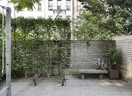 Inexpensive privacy fence ideas for backyards, pool and patios. Privacy Landscaping How To Use Plants In A City Garden Gardenista