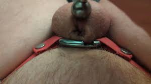 Innie chastity cage