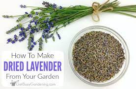 Lavender tea is made from lavender buds. How To Dry Lavender From Your Garden Get Busy Gardening