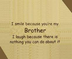 Use these quotes about siblings to remind you that your family is always there for you through thick and thin. Top 29 Cute Brother Quotes From Sister Cute Brother Quotes Brother Birthday Quotes Sibling Quotes