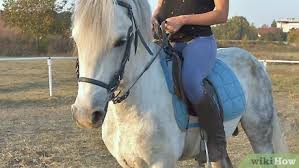 3 Ways To Ride A Horse At Walk, Trot, And Canter - Wikihow