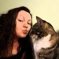 Highway Cats by Janet Taylor Lisle