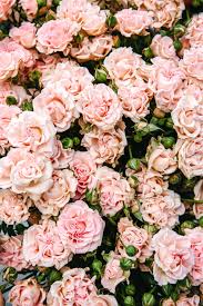 Pin De Jacqueline Brown Em My Aesthetic Rosado