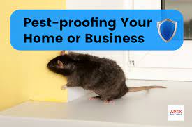 Professional rat control is recommended before one rat turns into a full blown rat infestation. Rat Pest Control Near You Best Pest Experts Apex Pest Control