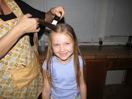 Effective Lice Removal Services In San Diego Bug Adieu