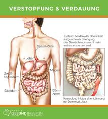 Check spelling or type a new query. Verstopfung Naturheilpraxis Gesund In Berlin
