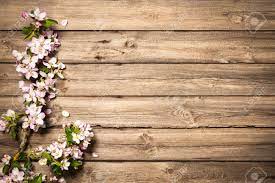 خلفيات خشب ورد