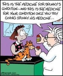 Maybe you would like to learn more about one of these? Medicating Assist Feeding Your Cat