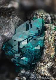 Aaron Bourke (aaronjbourke)