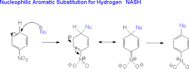 Nucleophilic Substitution Reactions | Ppt