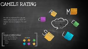 The camels rating system was developed in the united states as a supervisory rating system to assess a bank's overall condition. Camels Rating By Divyanshu Saurav