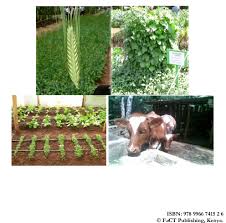 Image result for Gutenbergia trifolia