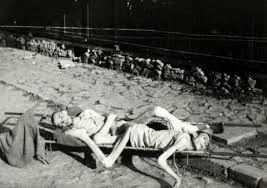Image result for holocaust photos