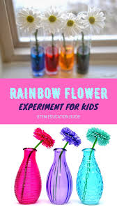 Check spelling or type a new query. Rainbow Flower Experiment For Kids 15 Fun Spring Stem Activities Science Experiments Spring Stem Activities Stem Activities Spring Science Experiments